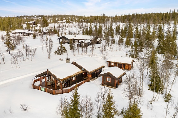 Hytta ligger omgitt av vinterlandskap med nærhet til skog og fjell.