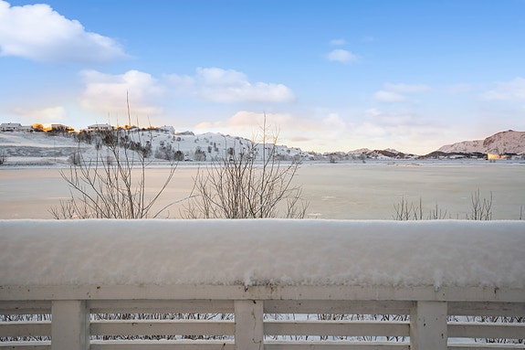 Herfra kan du også se sangsvanene i Haldsvågen.