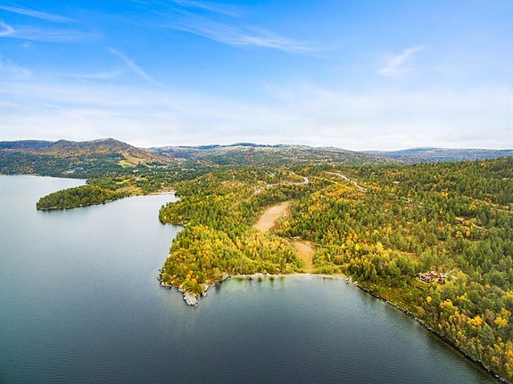 Sommerbilde fra sjøen.jpg