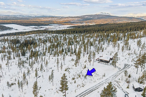 Velkommen til Harestubben 8!