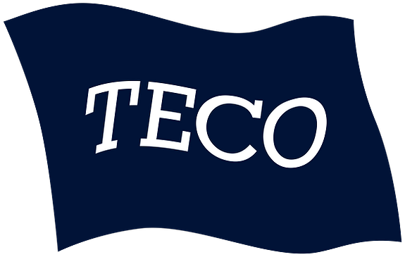 TECO CHEMICALS AS logo