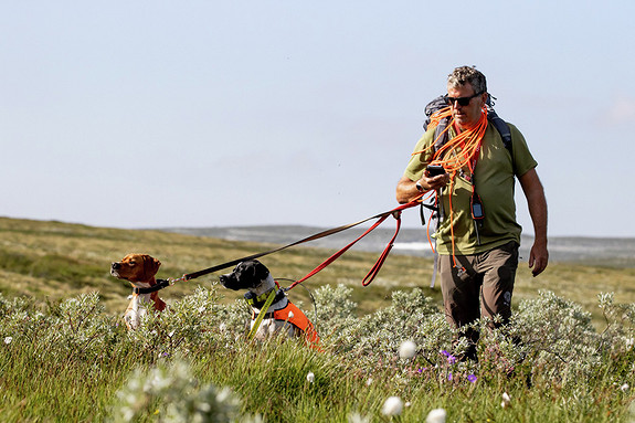 Rypetaksering Hovden_foto Torgeir W. Skancke