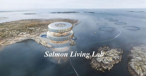 SALMON LIVING LAB AS logo