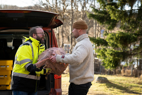 Bilde 1 av 6 i jobbannonse-galleriet