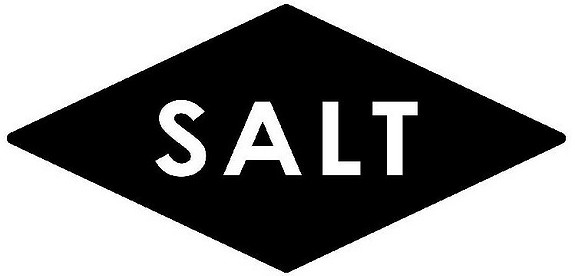 SALT art & music logo