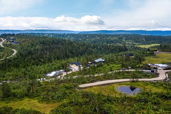 Fjellseterlia - August 2019