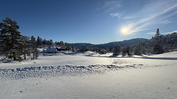 Flott opparbeidet tomt øverst i hytte feltet.