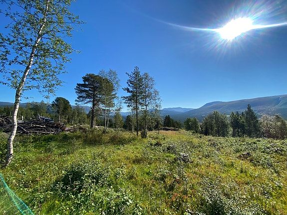 Fra midt på tomten - Østover mot Oppdal sentrum