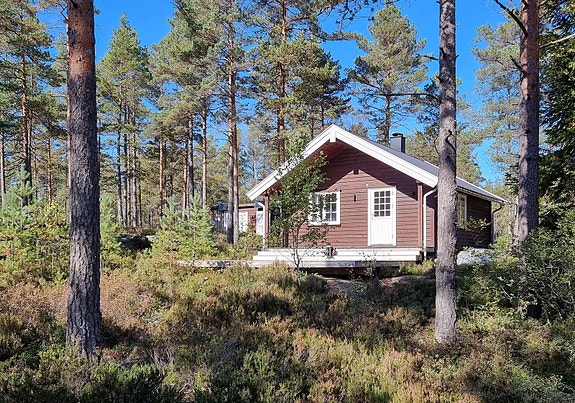 Velkommen til Dammyrveien 639