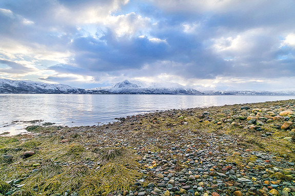 Utsikt fra naust