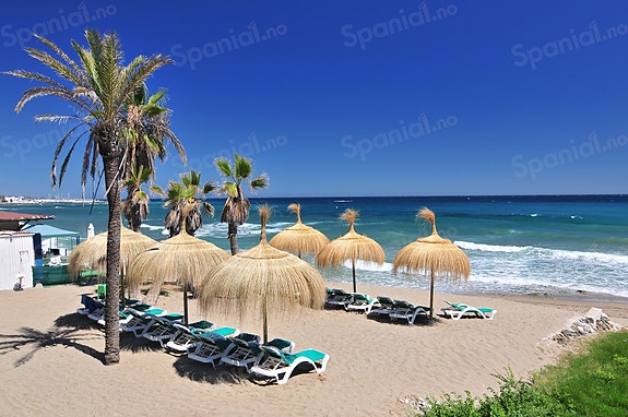 SOLGT! Moderne penthouse med takterrasse og 3 soverom | Kun 3 minutter fra stranden i San Pedro de Alcántara