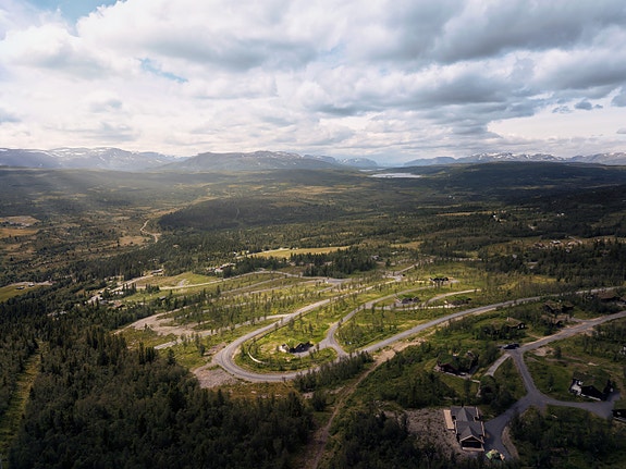 Bilde Pål Harald Uthus