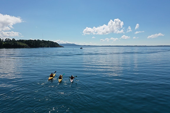 Bedriftens profilbilde