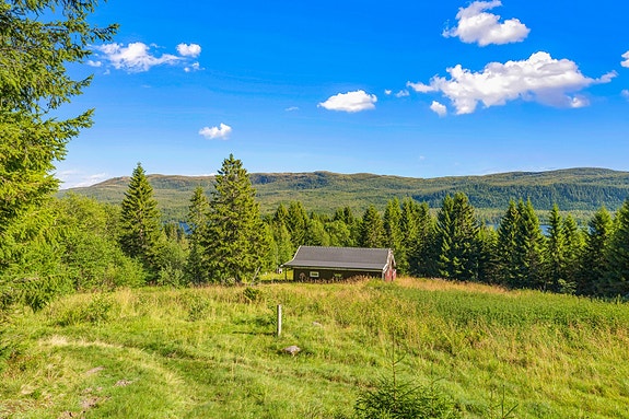 Velkommen til Tomtvassvegen 686!