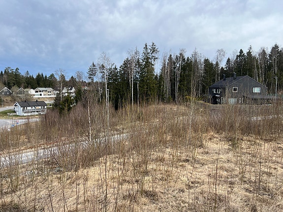 Velkommen til Romskollen.