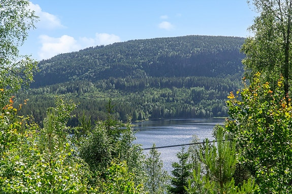Velkommen til Vanebu! Utsikten fra tomta sydvestover mot vannet.jpg