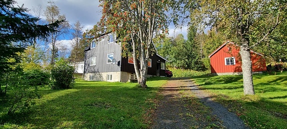 Selgers private sommerbilde.