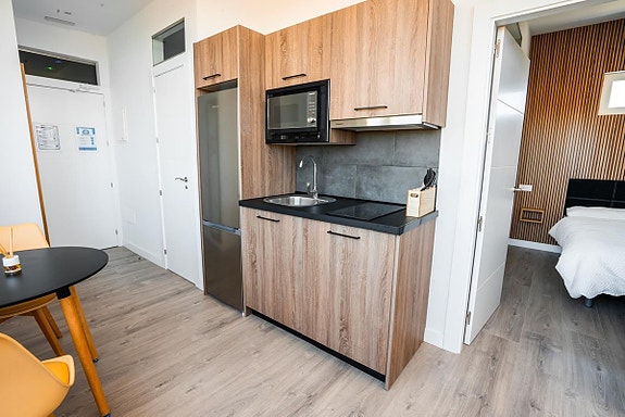 Unik penthouse i Nueva Andalucía - delt opp i 7 studioer med turistlisens og solid leieinntekt