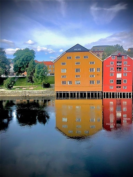 Gul brygge