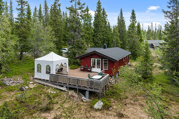 Velkommen til Gnolla 207 i Flendalen i Trysil kommune