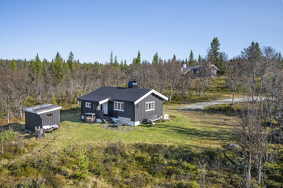 Velkommen til Skarvvegen 82!