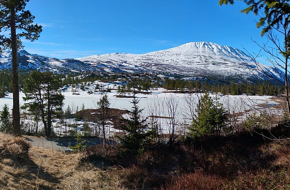 Utsikt fra tomta mot Gaustatoppen med Brennstaultjønna