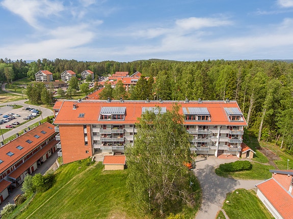 Velkommen til Harald Hårfagres vei 34 D!