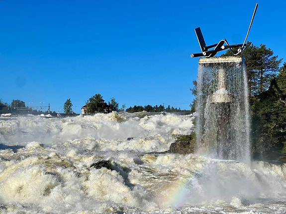 Bedriftens profilbilde