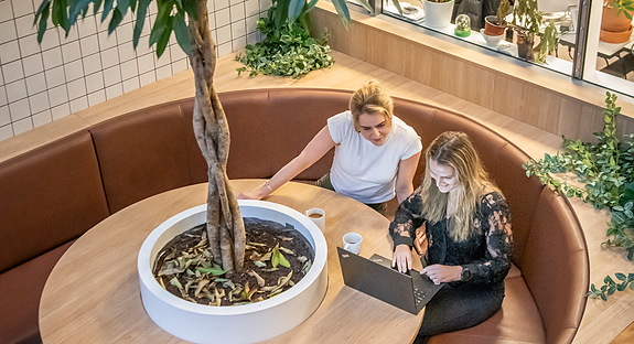 Bedriftens profilbilde