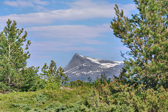 Utsikt fra eiendommen.