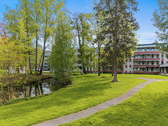Nydelige uteområder i parken
