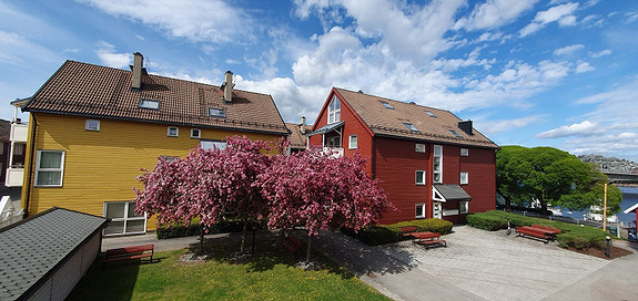 Nydelige uteområder