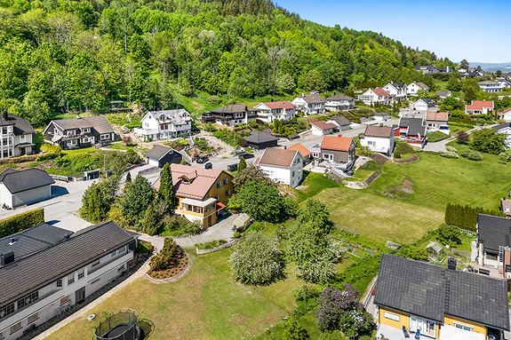 Frodig rundt huset!