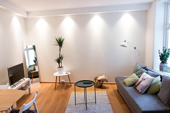 Elegant stue med sovesofa