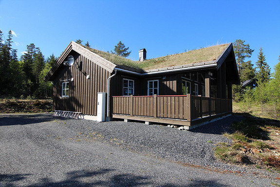 Velkommen til Rajekollen!