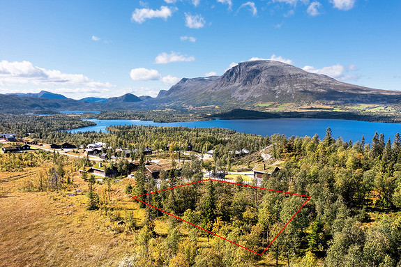 Skogshorn og Storevatn i bakgrunn