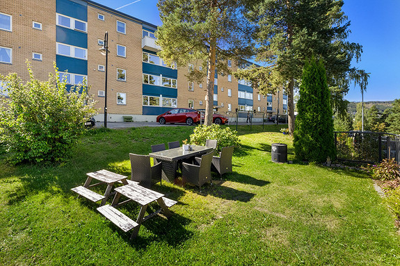 Uteområdet rundt boligen.