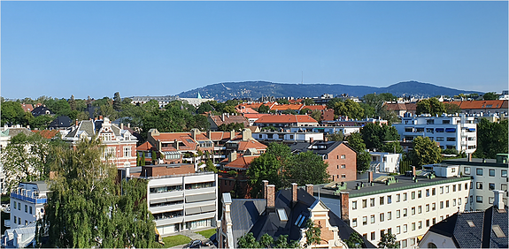 Bilde fra arbeidsgiver