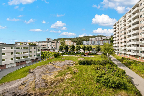 Fine grøntområder i fellesarealene.
