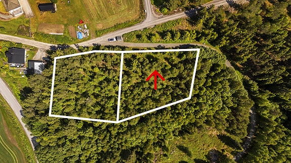 Velkommen til Liervegen!