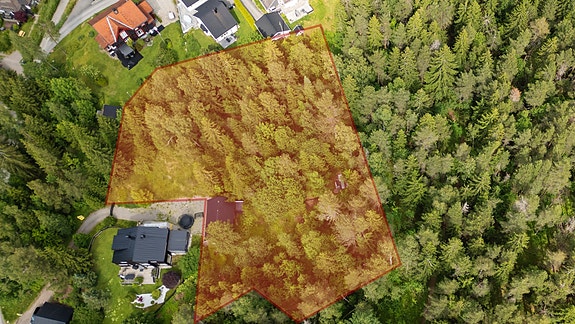 Ida Schjølberg v. EIE eiendomsmegling ønsker velkommen!