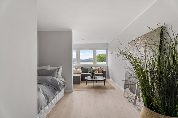 Velkommen til Borgundfjordvegen 97!