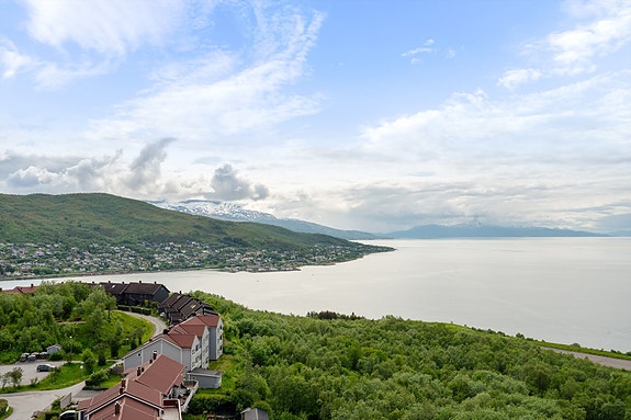 Utsikt ut over Ofotfjorden
