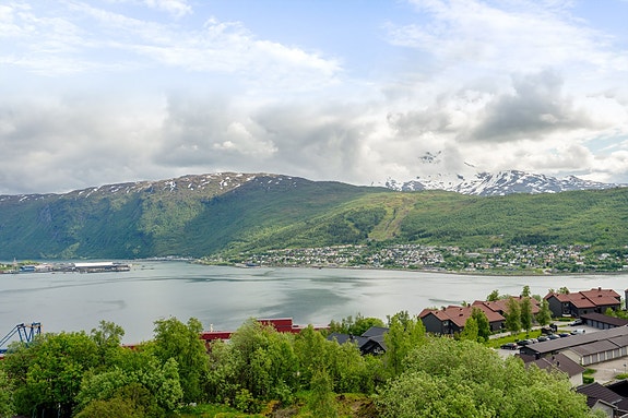 Utsikt mot Ofotfjorden og Ankenes