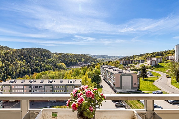 Velkommen til Laurits Grønlands vei 38B