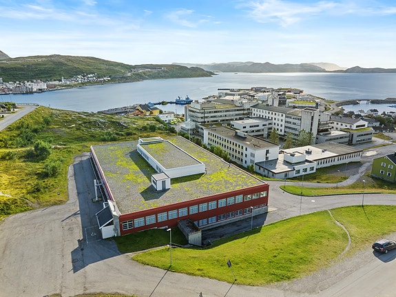 Drone bilde av Elsa Semmelmanns vei 1 mot Fuglenes.