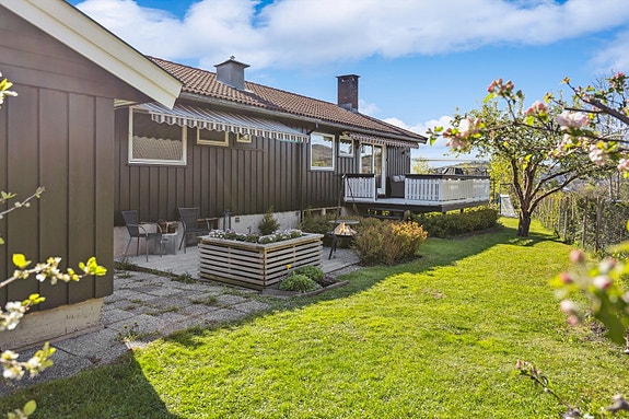 Velkommen til Blinken 29!