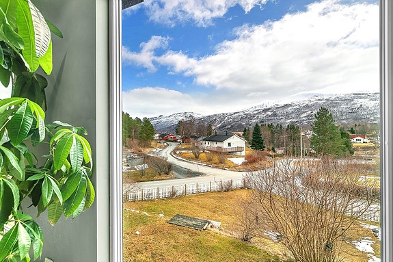 Utsikt fra stue
