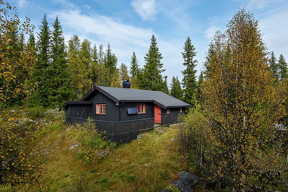 Velkommen til Goppollvegen 1594!