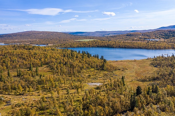 Velkommen til idylliske Fiskeløyse!